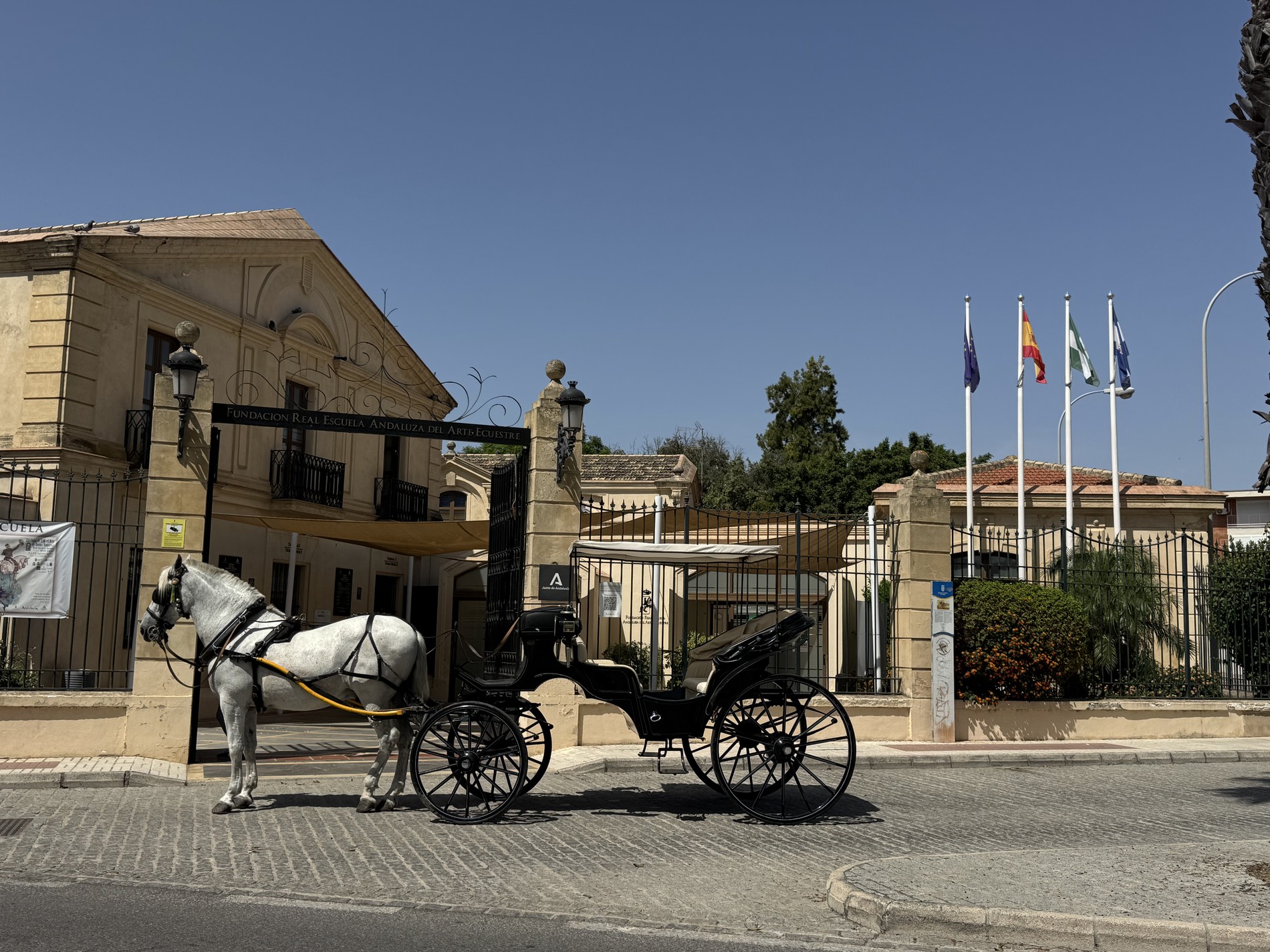 Andalusian equestrian tradition in Jerez de la Frontera